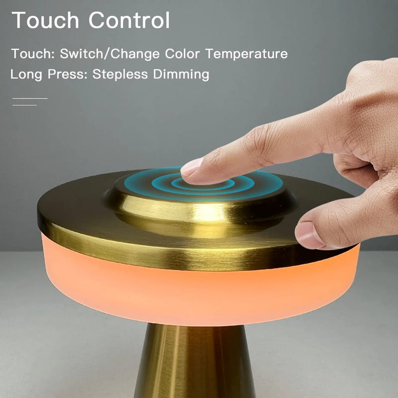 Metal Desk Lamp USB Rechargeable